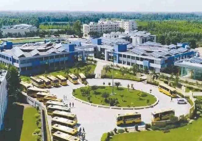 MM Institute